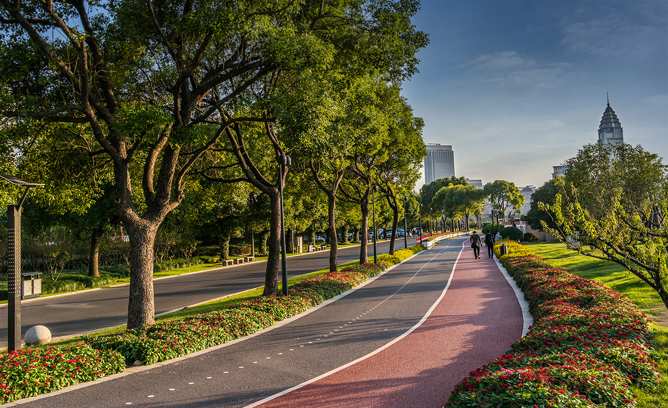 مسار للسير وركوب الدرجات محاط بالأشجار في شانغهاي.