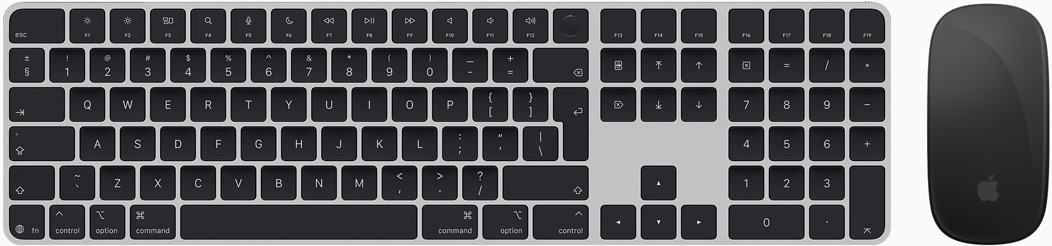 Top view of Magic Keyboard and Magic Mouse