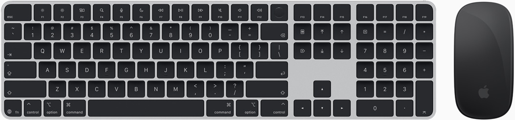 Top view of Magic Keyboard and Magic Mouse